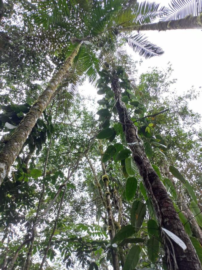 Eco Rio De Oro * San Rafael (Antioquia)
