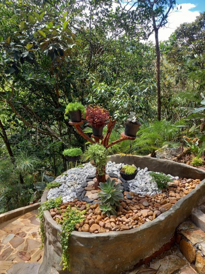 Eco Rio De Oro Lodge San Rafael (Antioquia)