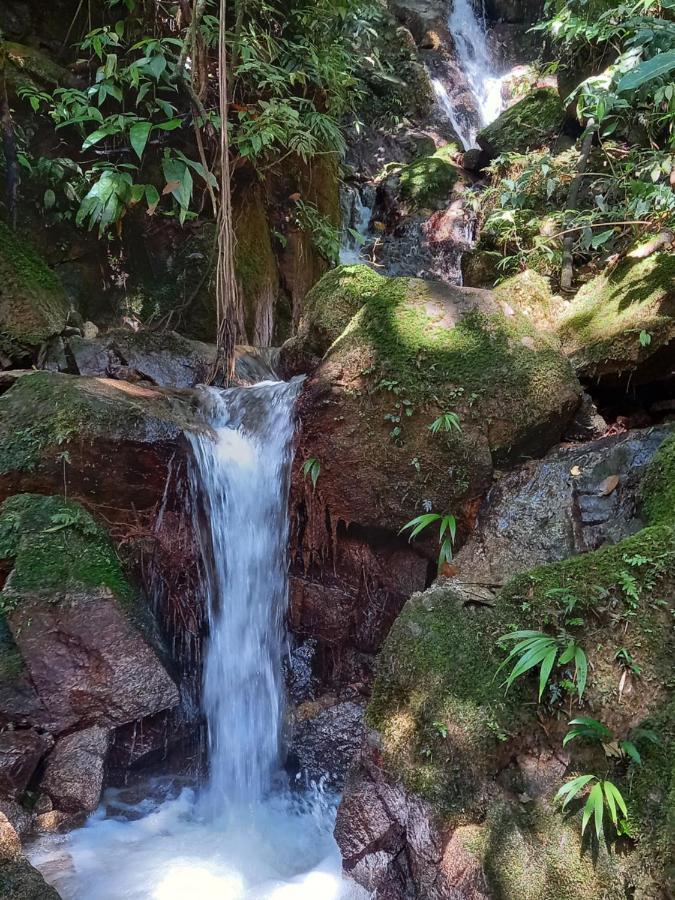 Eco Rio De Oro San Rafael (Antioquia)