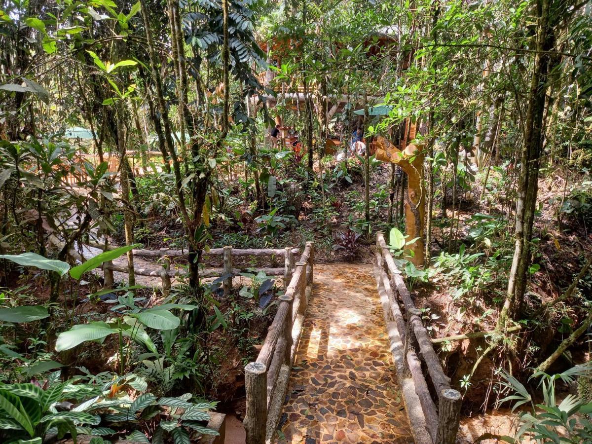Eco Rio De Oro Lodge San Rafael (Antioquia)